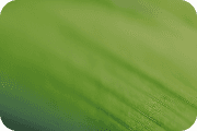 Three smart home sensor icons illustrating the Sengira system