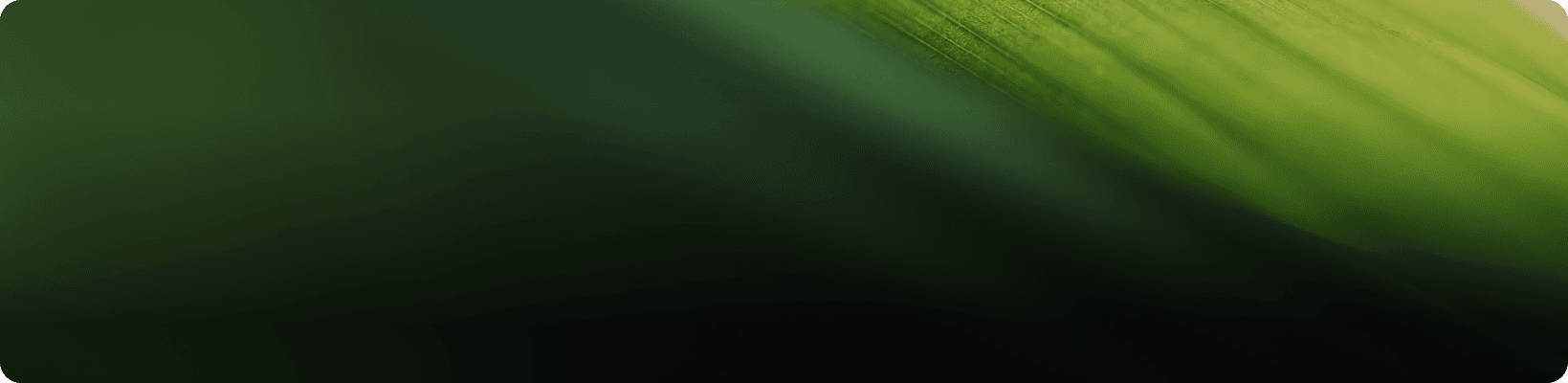 Decorative background pattern