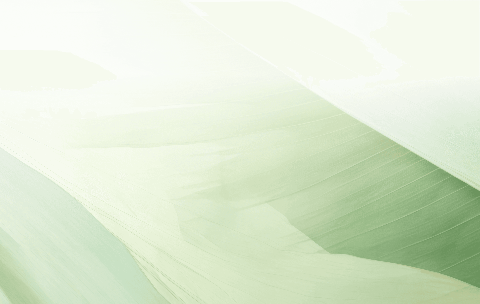 Decorative background pattern